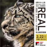 善都「ZENT ART MUSEUM」をリニューアル、長靴をはいた猫が描く色鉛筆画展「REAL」開催
