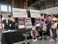 「大阪コミコン2025」にボーダーがパチスロ新台「パチスロなめ猫」を参考出展